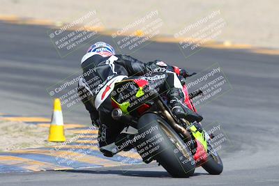 media/Mar-10-2024-SoCal Trackdays (Sun) [[6228d7c590]]/9-Turn 8 Backside (1150am)/